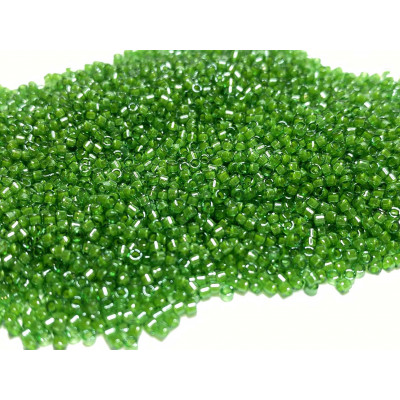 5 g, Miyuki delica 11/0, vert. DB0274